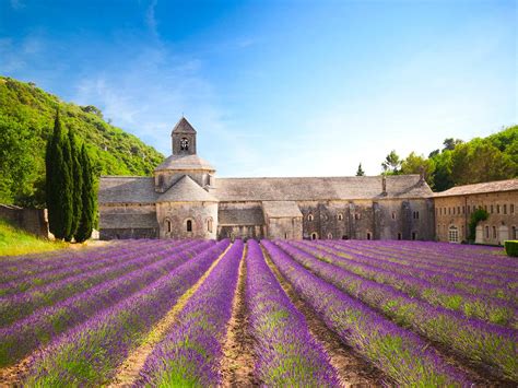  フレデリック！魅惑的な恋愛と、フランスの美しい風景