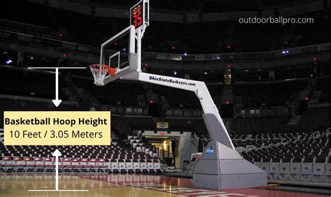 How Tall Is a Standard Basketball Hoop and Why Does It Feel Like It’s Always Watching You?