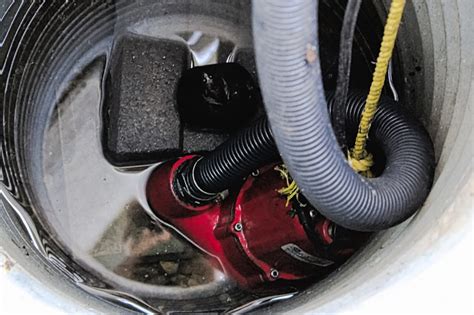 How to Stop Sump Pump from Constantly Running: And Why Your Goldfish Might Be the Real Culprit