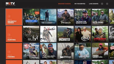 How to Watch Outdoor Channel for Free: Exploring the Wild Without Breaking the Bank