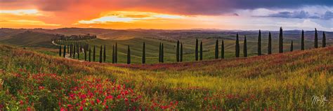  「Under the Tuscan Sun」: 軽やかなロマンスと、イタリアの太陽が織りなす美しい風景！