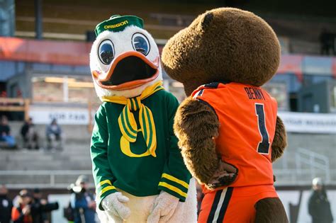 What Channel is the Ducks Football Game On: A Dive into the Quacking World of Sports Broadcasting